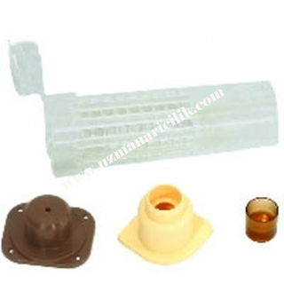 Jenter seti uzman arıcılık